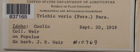 Image Associated With the Occurence